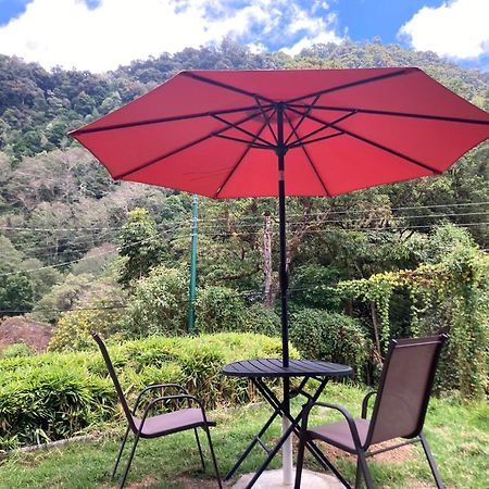 Los Lagos Lodge San Gerardo de Dota Dış mekan fotoğraf