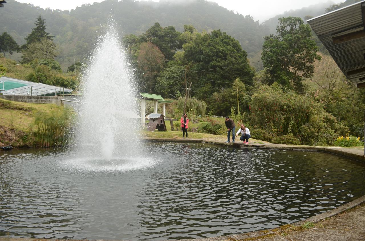 Los Lagos Lodge San Gerardo de Dota Dış mekan fotoğraf