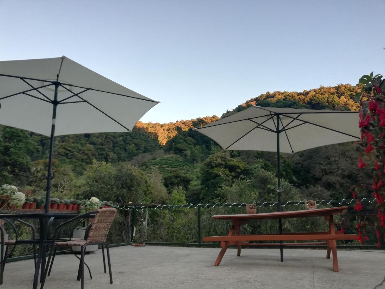 Los Lagos Lodge San Gerardo de Dota Dış mekan fotoğraf